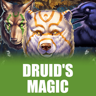 Druid's Magic image