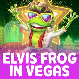 Elvis Frog in Vegas image