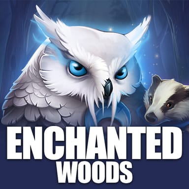Enchanted Woods image
