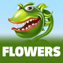 Flowers image