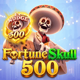 Fortune Skull 500 image
