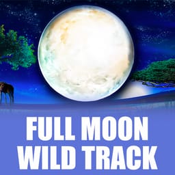 Full Moon Wild Track image