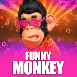 Funny Monkey image