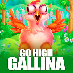 Go High Gallina image