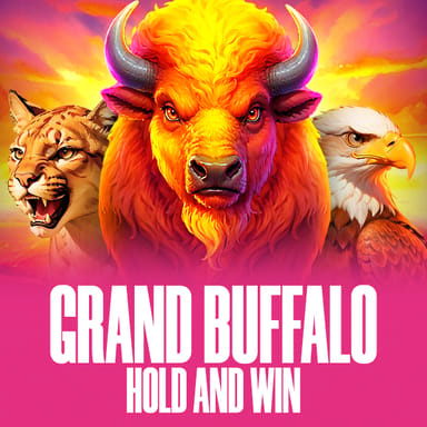 Grand Buffalo Hold and Win image