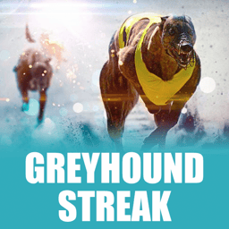 Greyhound Streak image
