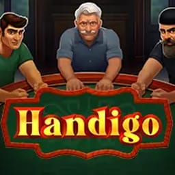 Handigo image