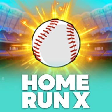 Home Run X image
