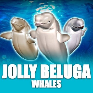 Jolly Beluga Whales image