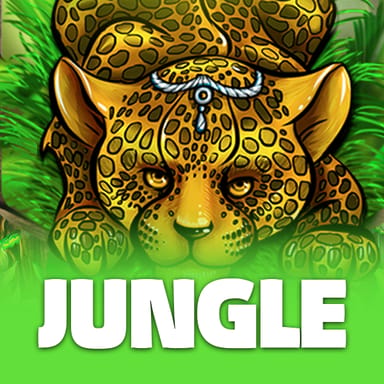 Jungle image
