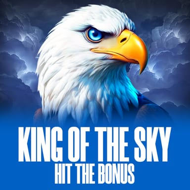 King of the Sky: Hit the Bonus image