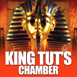 King Tut's Chamber HD image