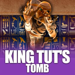 King Tut's Tomb image