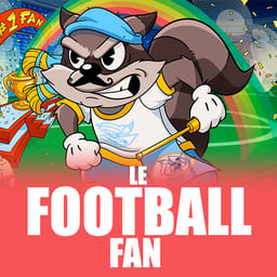 Le Football Fan image