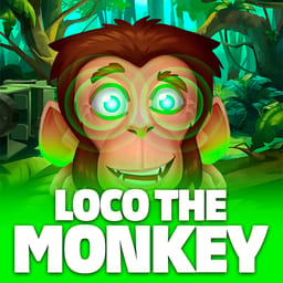 Loco the Monkey image