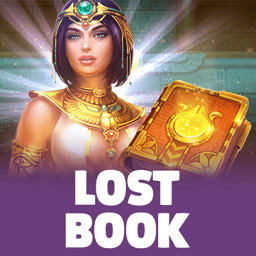 Lost Book image