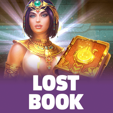 Lost Book image