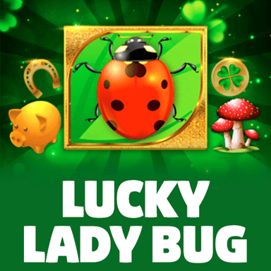 Lucky Lady Bug image