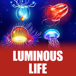 Luminous Life image