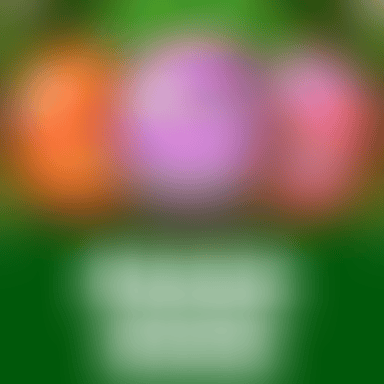 Magic Eggs image