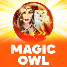 Magic Owl image