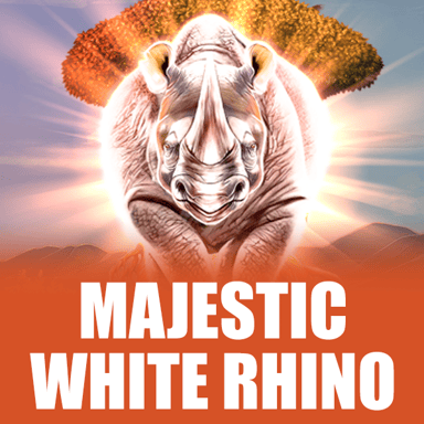 Majestic White Rhino image