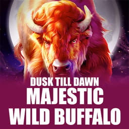 Majestic Wild Buffalo - Dusk Till Dawn image