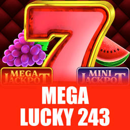 Mega Lucky 243 image