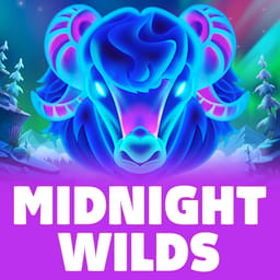 Midnight Wilds image