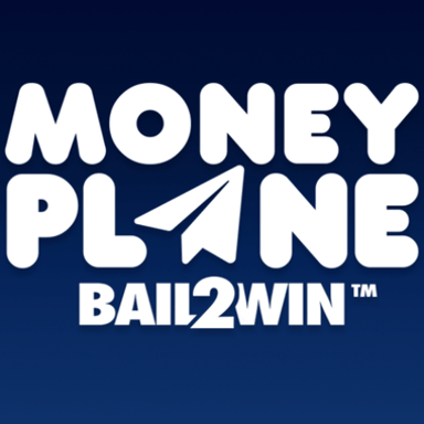Moneyplane image