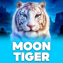 Moon Tiger image