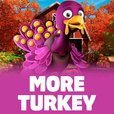 More Turkey image