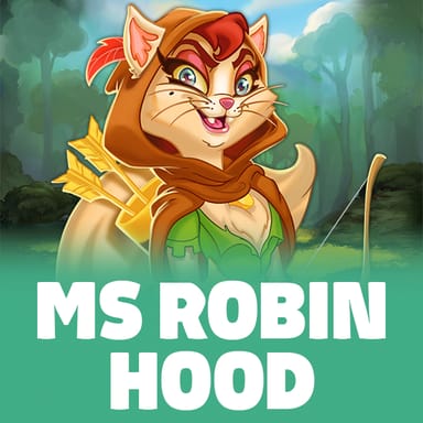 Ms Robin Hood image