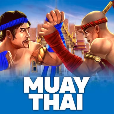 Muay Thai image