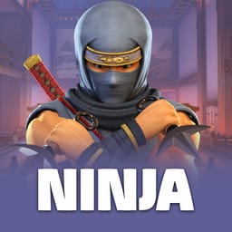 Ninja image