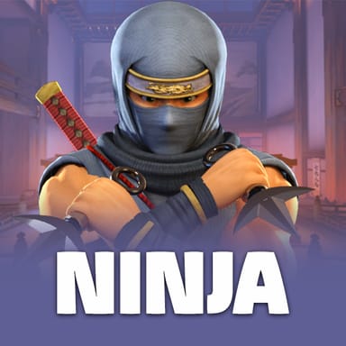 Ninja image