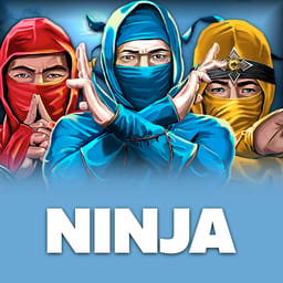 Ninja image