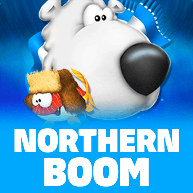 Northern Boom image