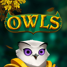 Owls image