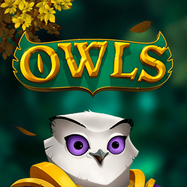 Owls image