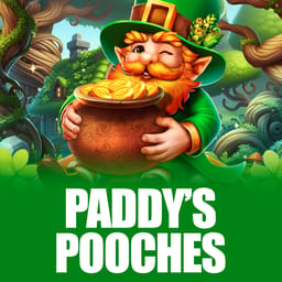 Paddy’s Pooches image