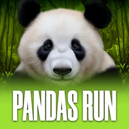 Pandas Run image