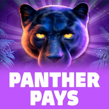 Panther Pays image