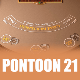 Pontoon 21 image