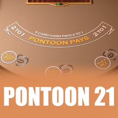 Pontoon 21 image