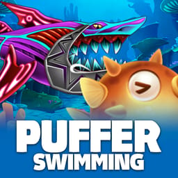 Puffer Swimming image