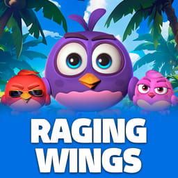 Raging Wings image
