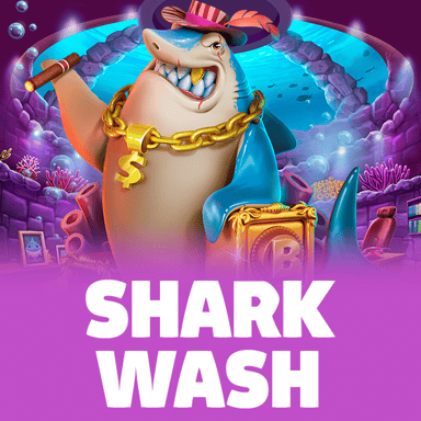 Shark Wash image