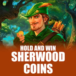 Sherwood Coins: Hold and Win image