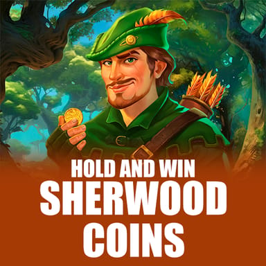 Sherwood Coins: Hold and Win image